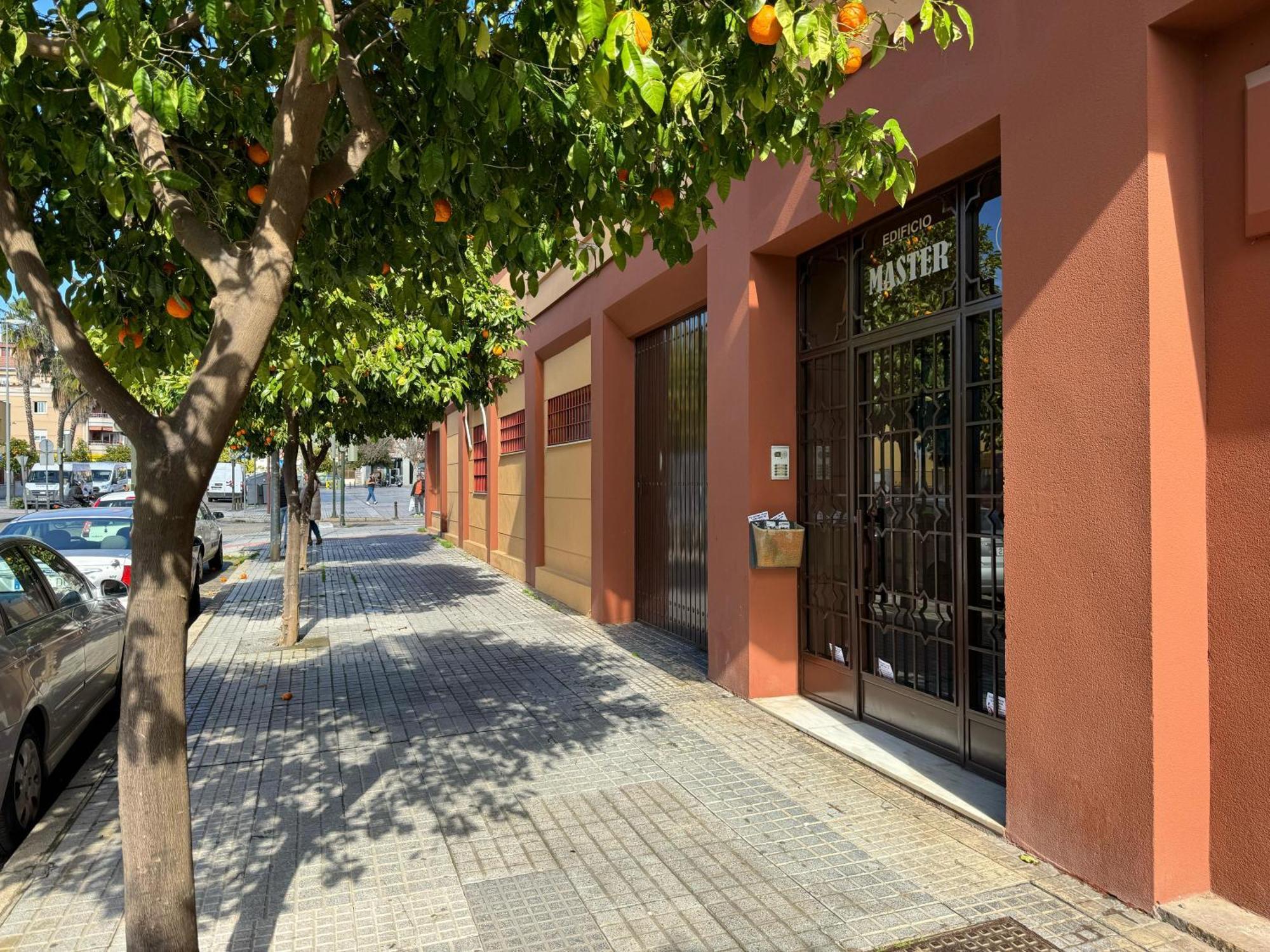 Apartamento Maria La Judia Córdoba