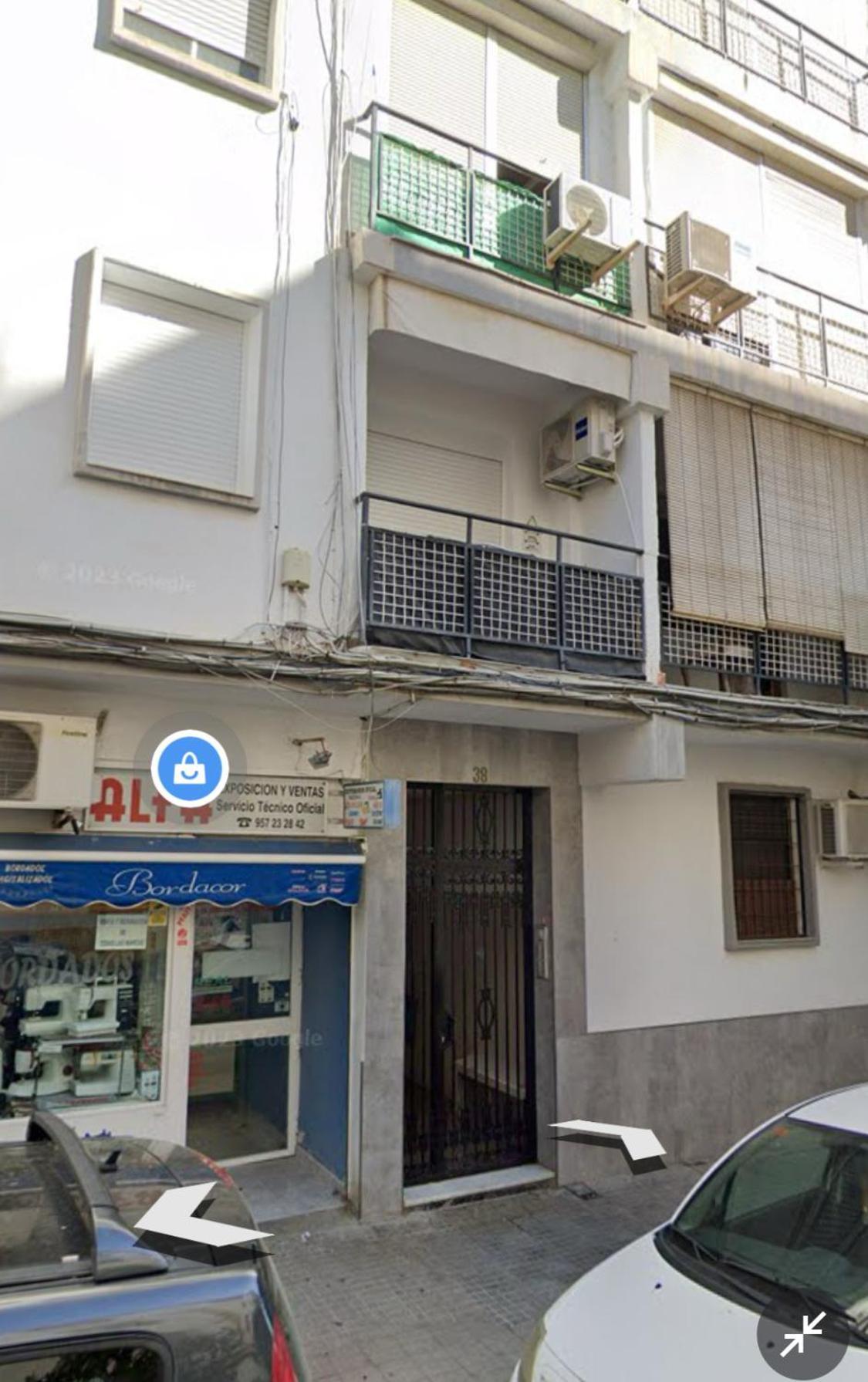 Palmones Cordoba