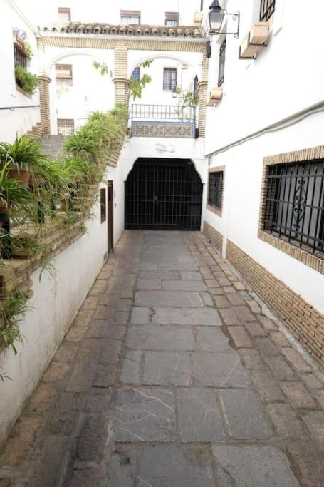 Medina Paradise Apartamento