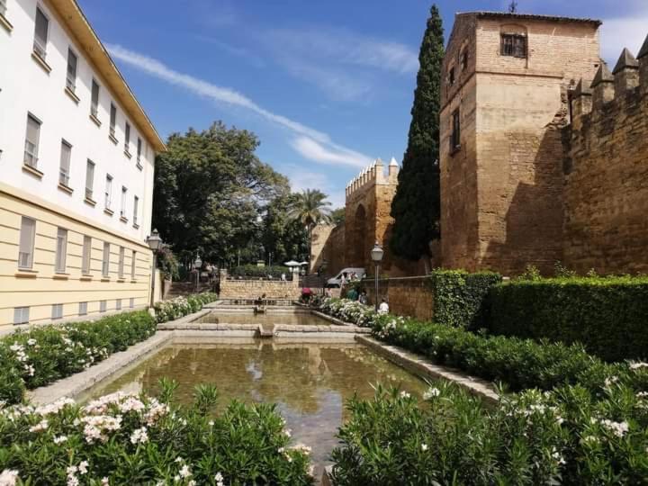Apartment Patio De La Muralla Cordoba