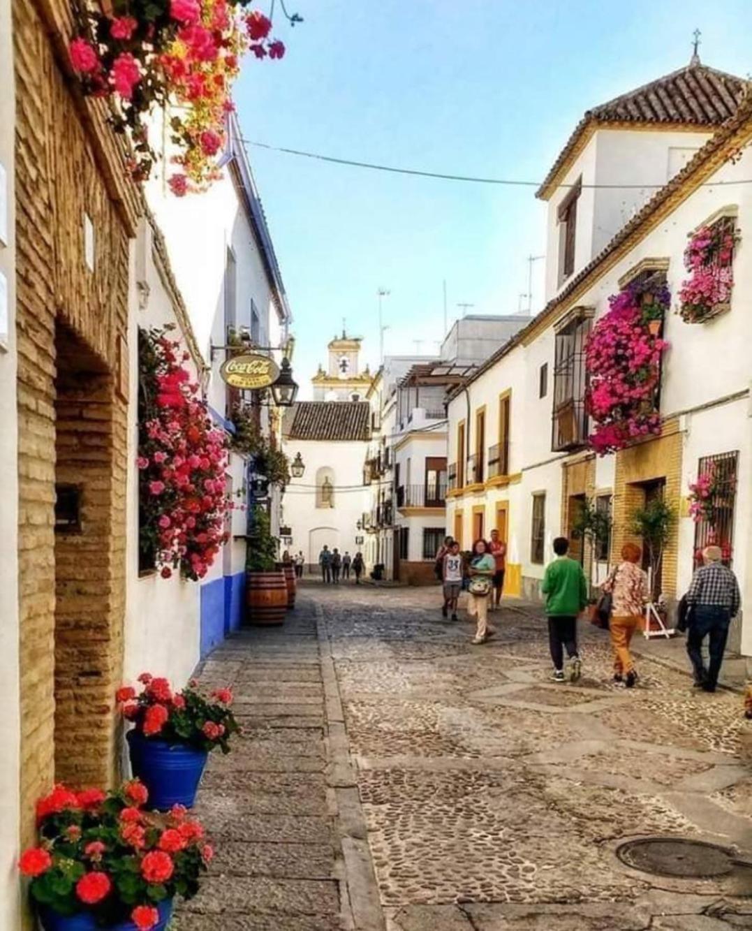 Apartamento Piedra Escrita