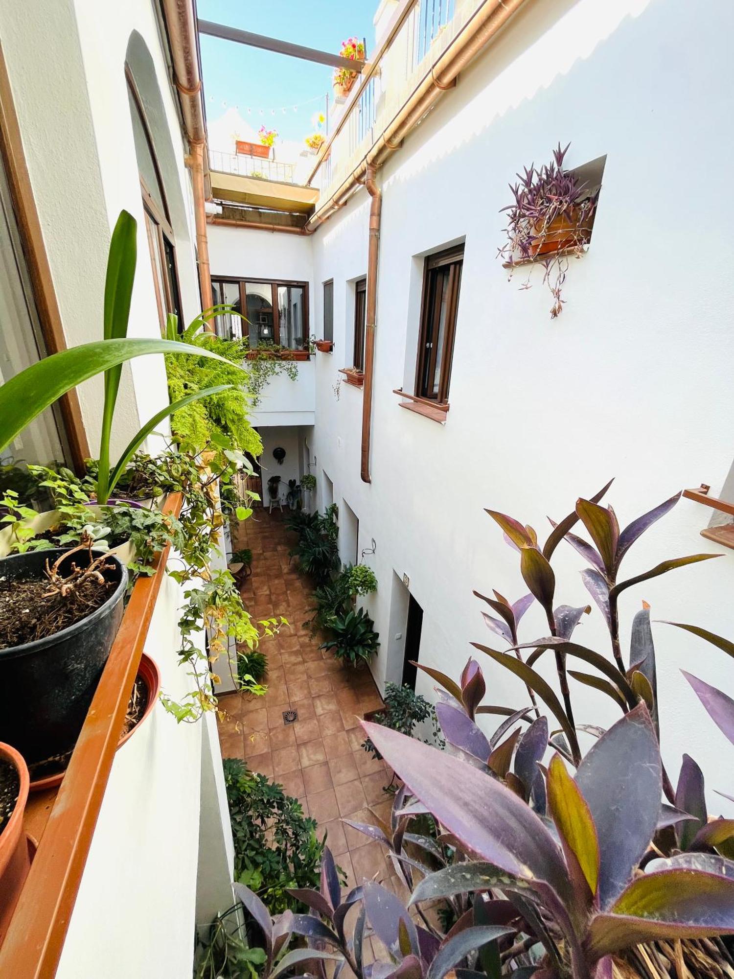 Casa Turistica San Agustin Apartment *