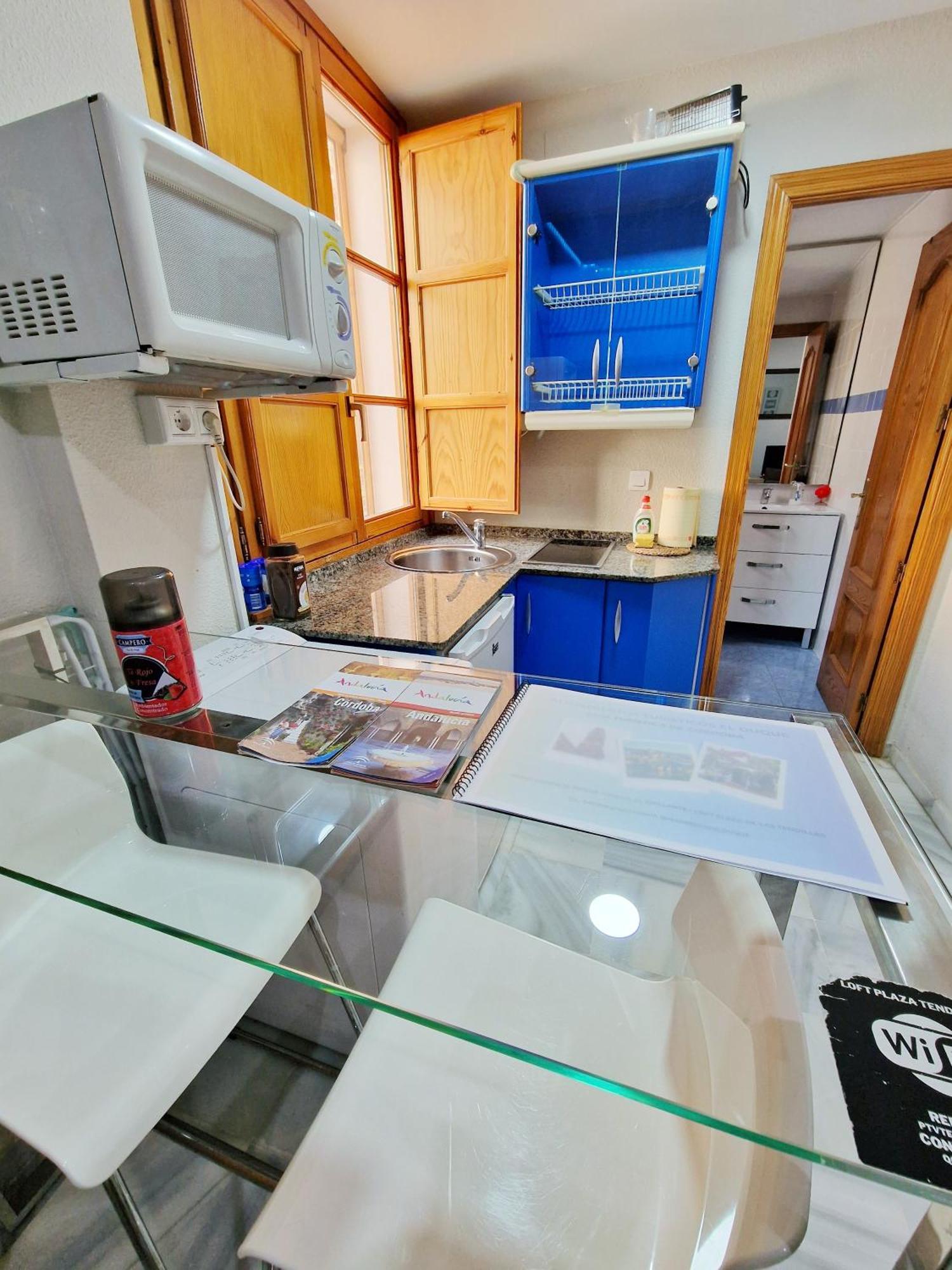 Loft Plaza De Tendillas Apartamento *