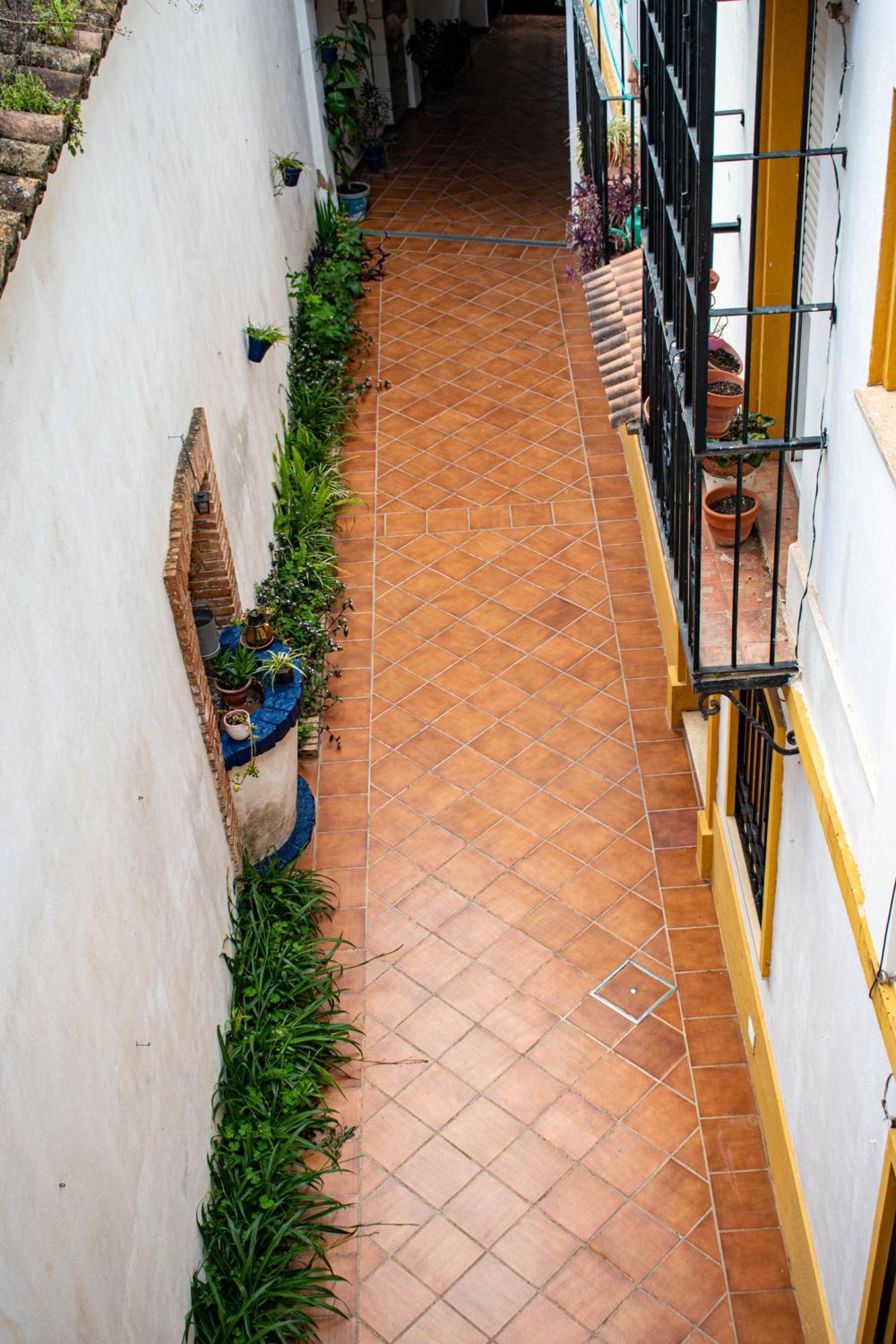 Apartamento Entero, Centro De Con Cochera
