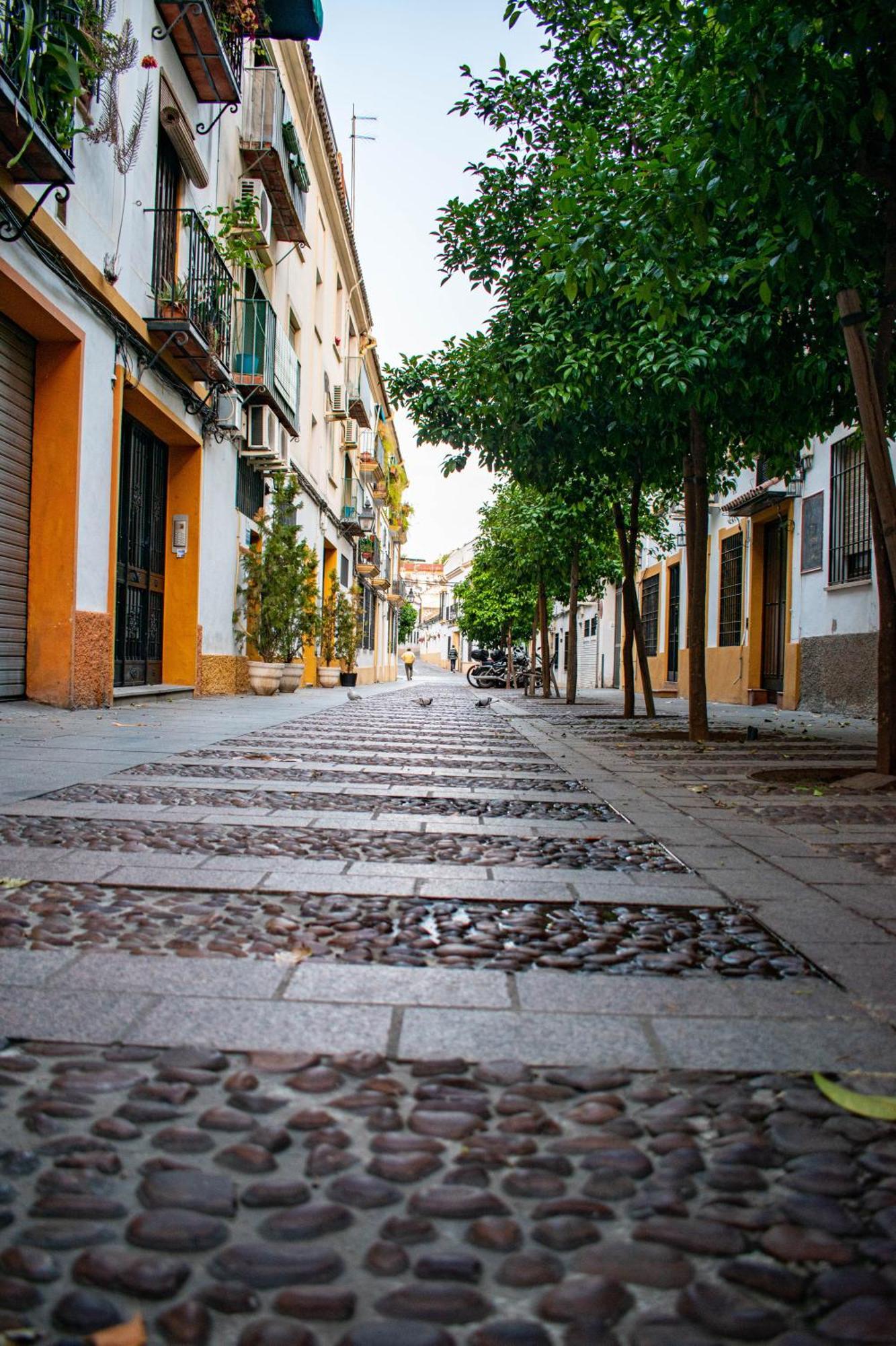 Entero, Centro De Con Cochera