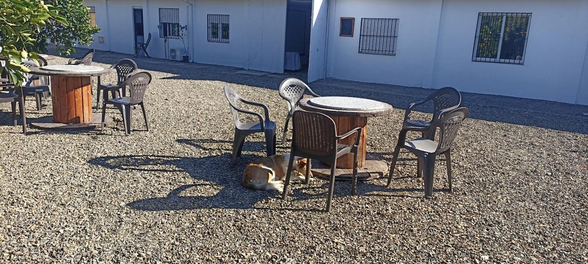 Coco Сasa de vacaciones