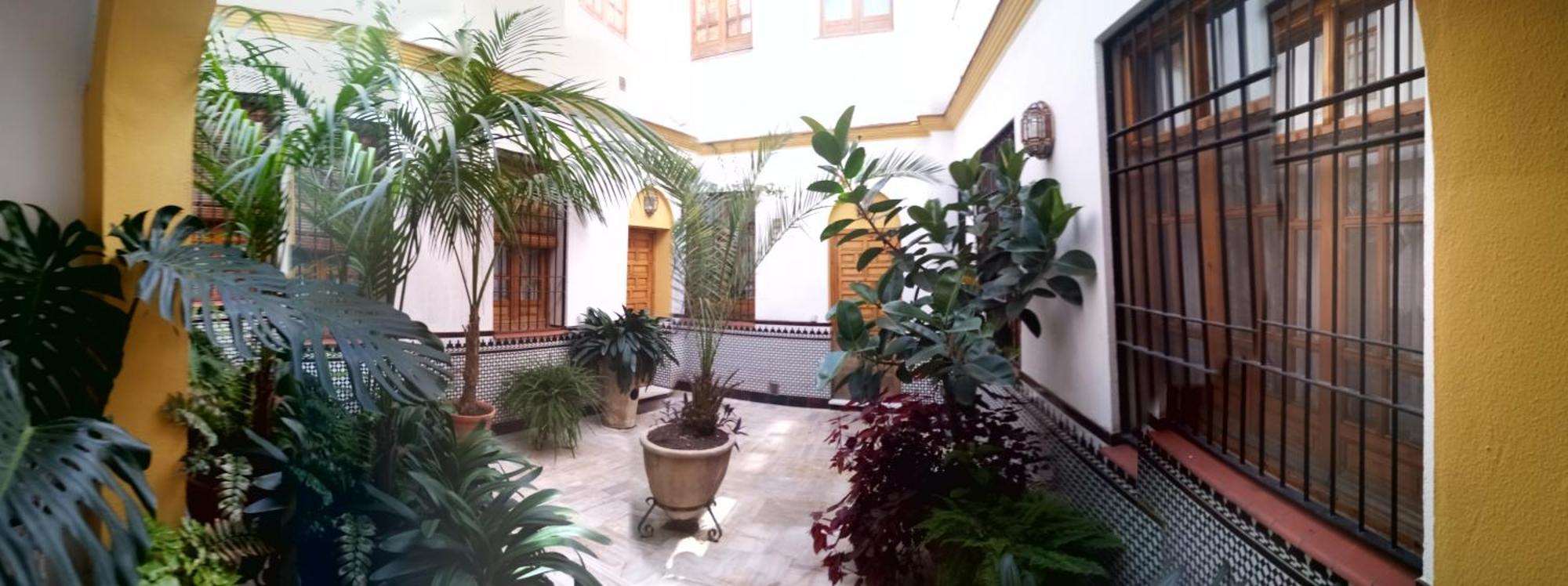 Centro Esencia Cordobesa. Mezquita *