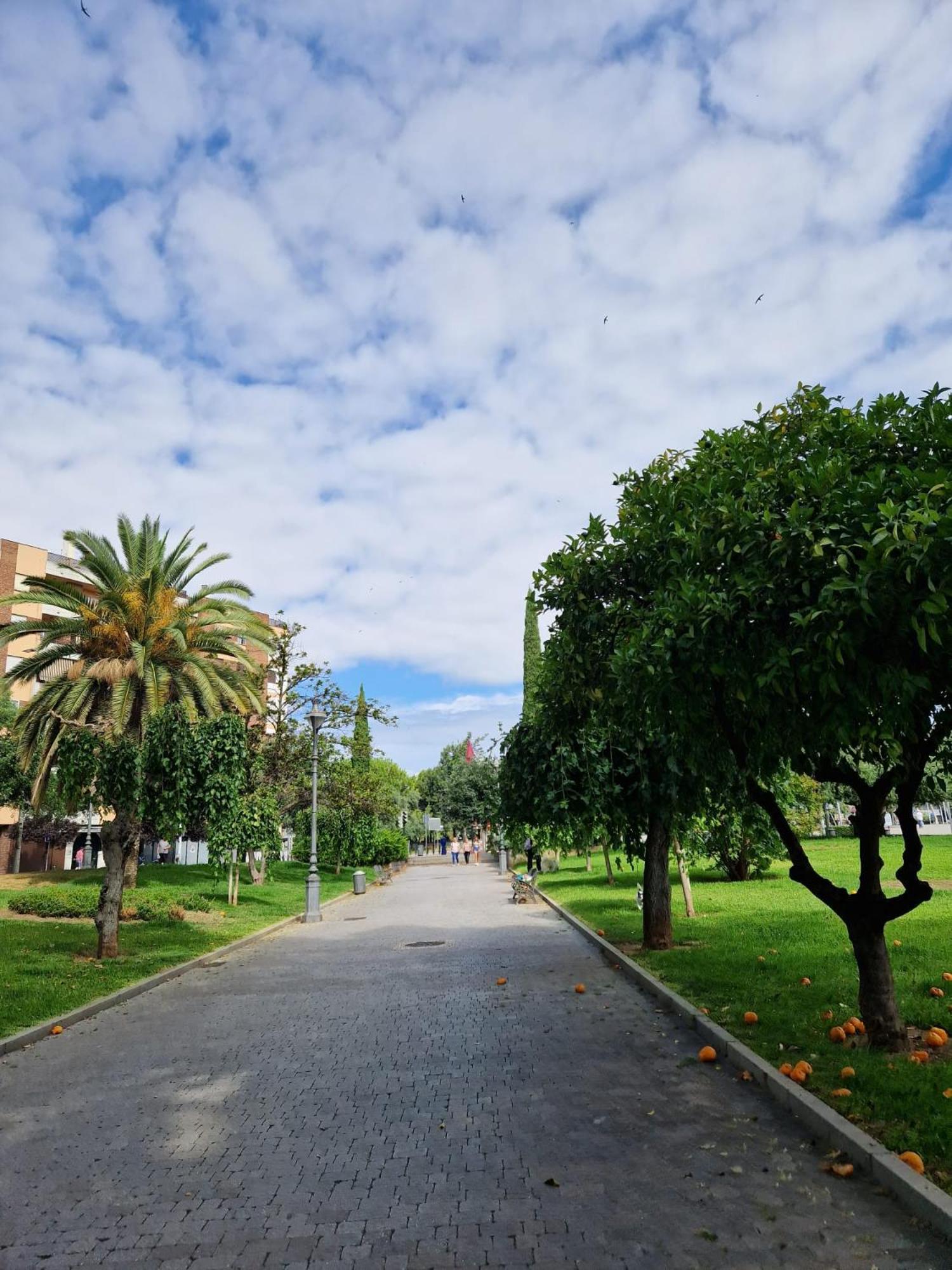 Apartamento Salusahome Parking Gratuito Córdoba