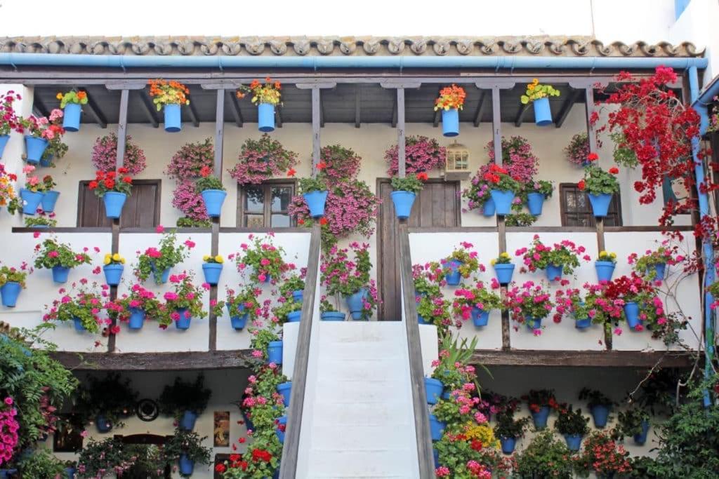 Fuensanta 19