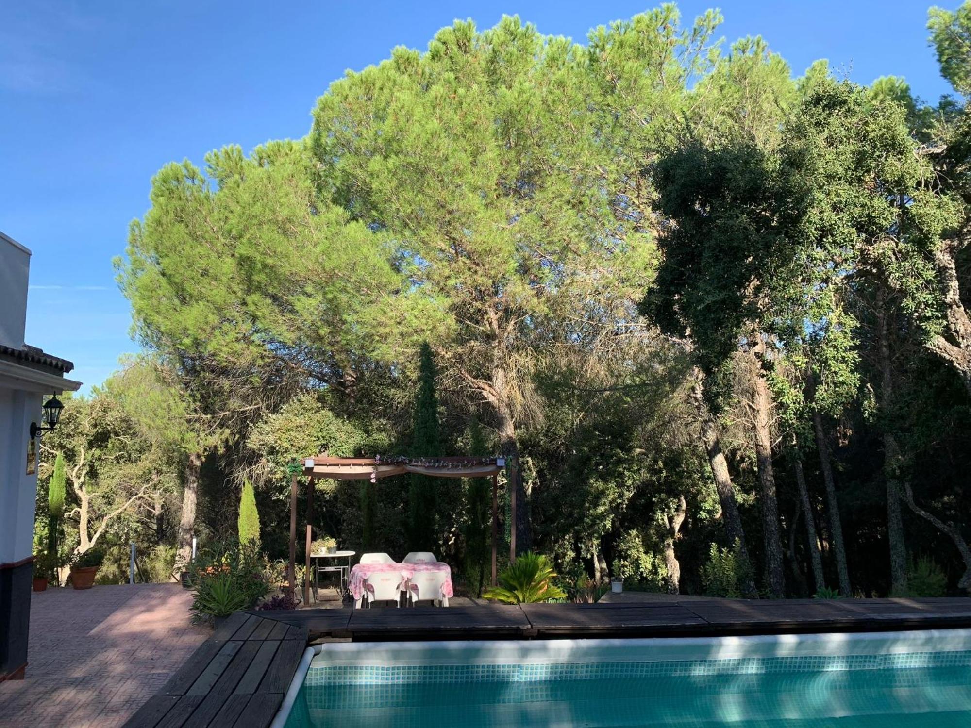 Chalet Casa San Francisco De Asis