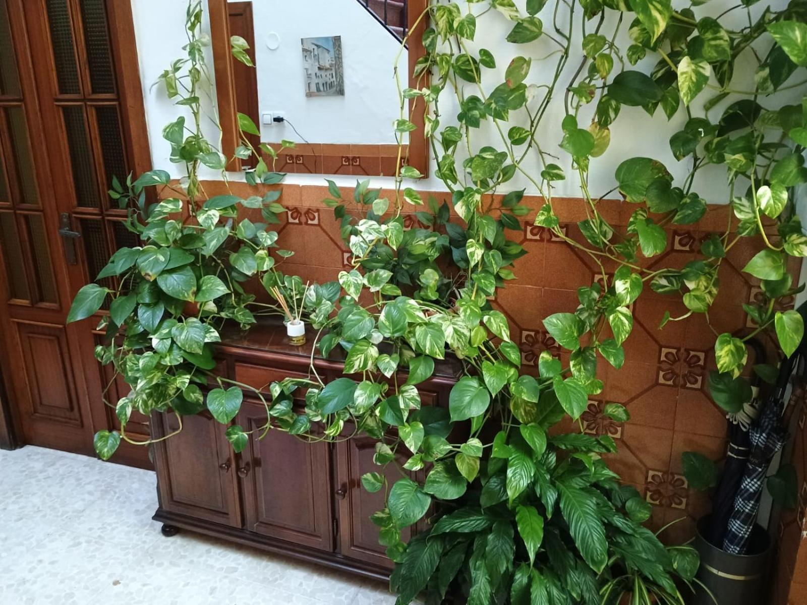 Casa Matbel Apartment Cordoba
