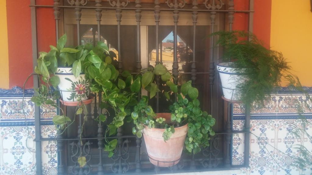 Bed and breakfast El Enganche