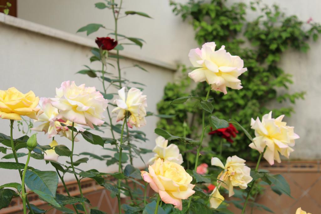 Apartamento Jardin De La Ribera.
