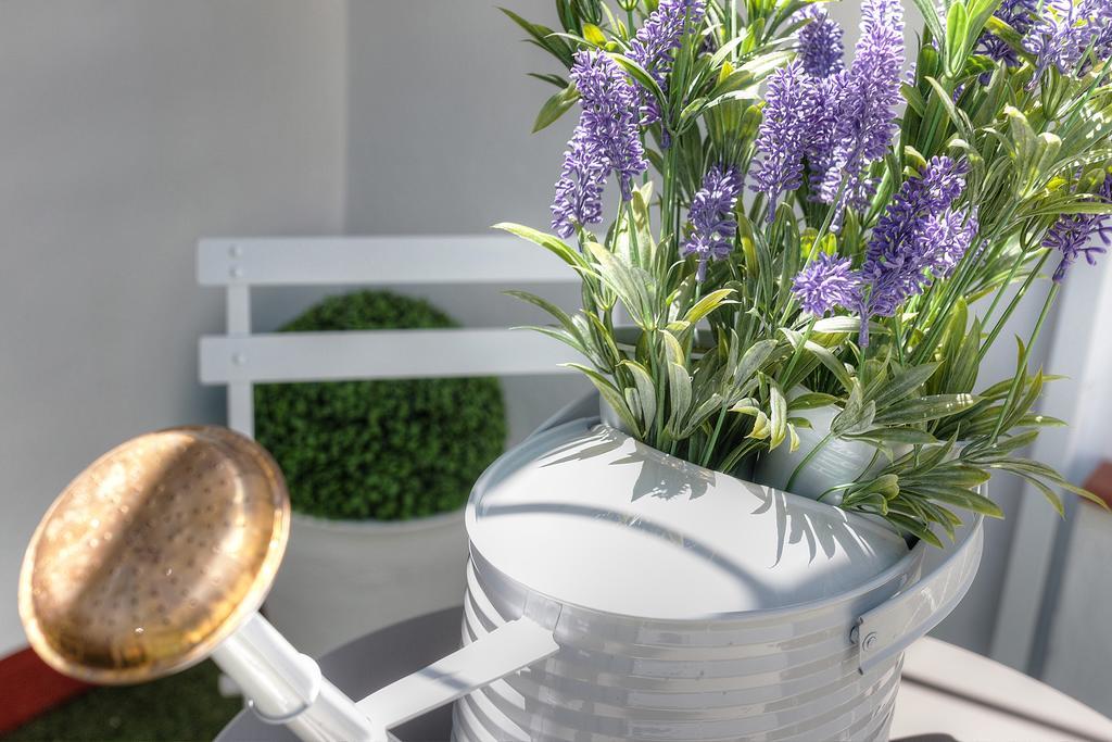 Homestay La Torre Cordoba