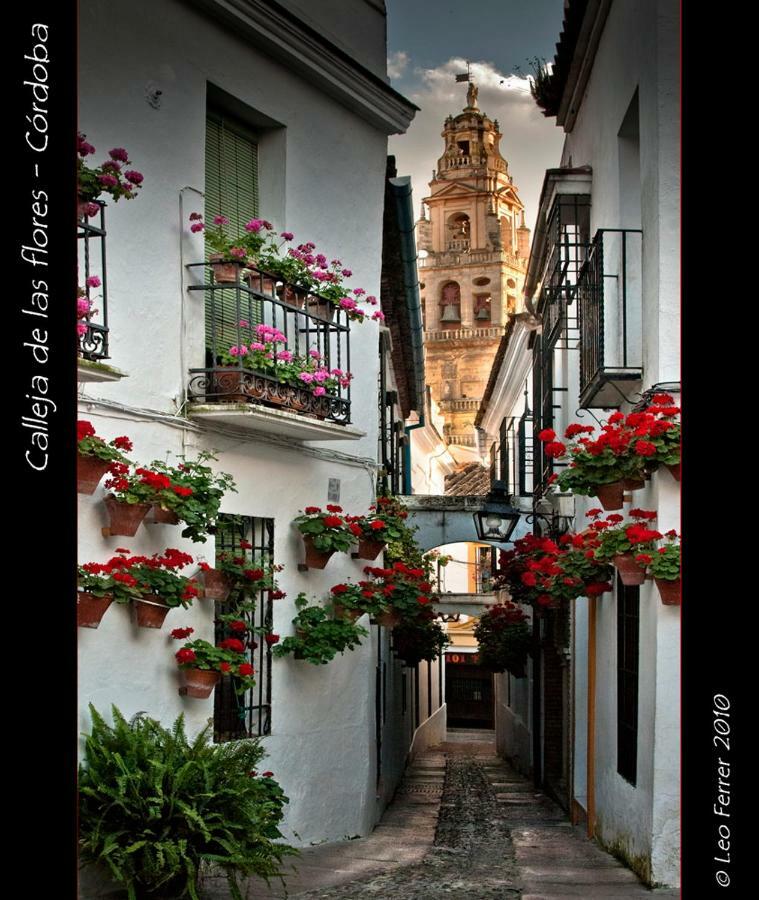 Luxury Viana *