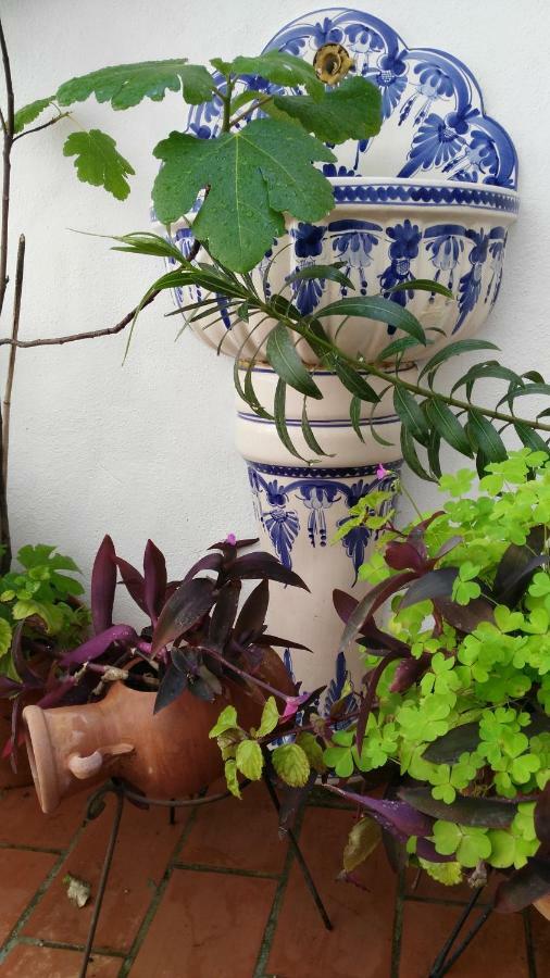 Patios Con Encanto Apartment
