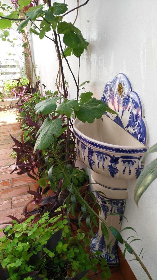 Patios Con Encanto Apartment *