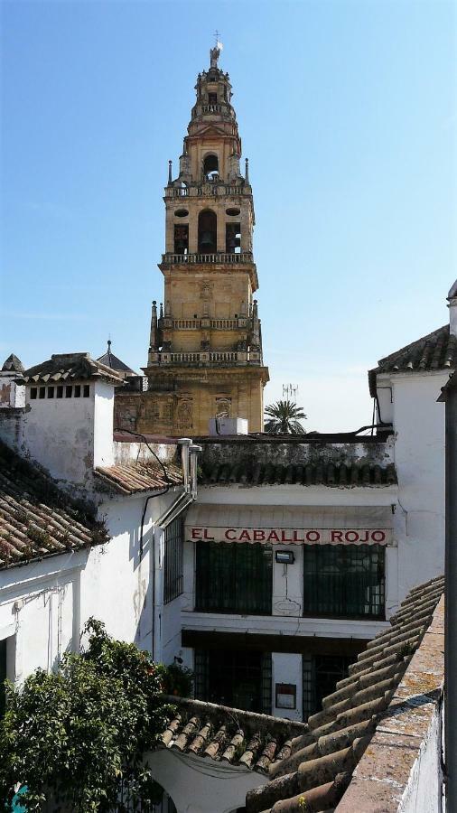 Lola5 Cordoba