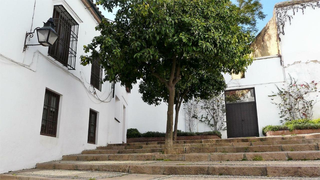 Lola5 Cordoba