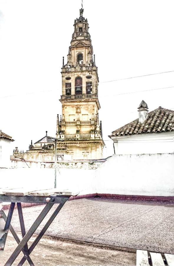 Lola5 Cordoba