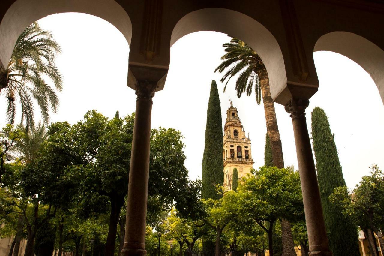 Puerta A La Mezquita Apartamento Córdoba