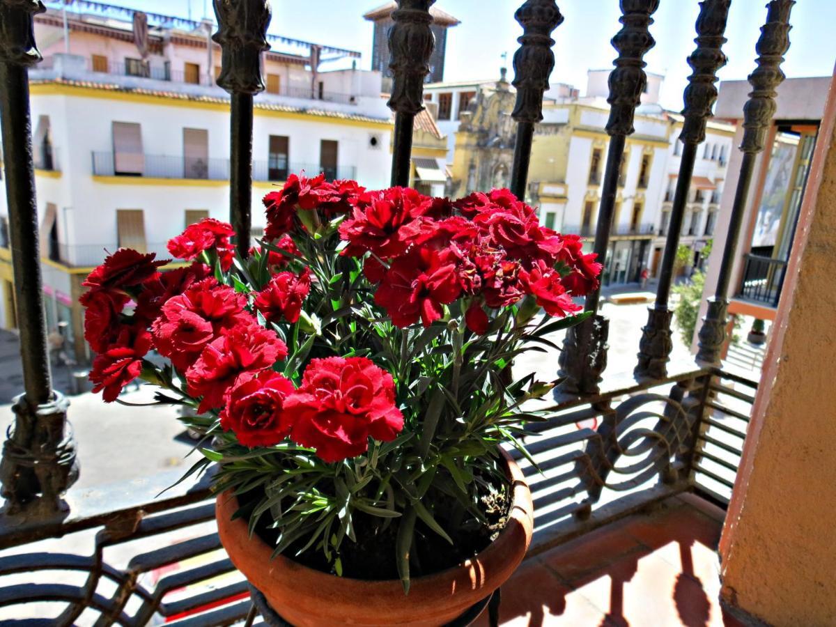 Apartamento Via Alfaros *