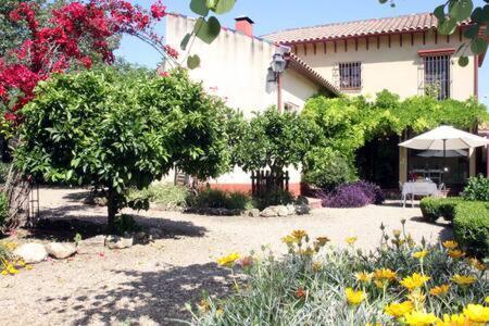 Casa Con Encanto Y Jardin Holiday home *