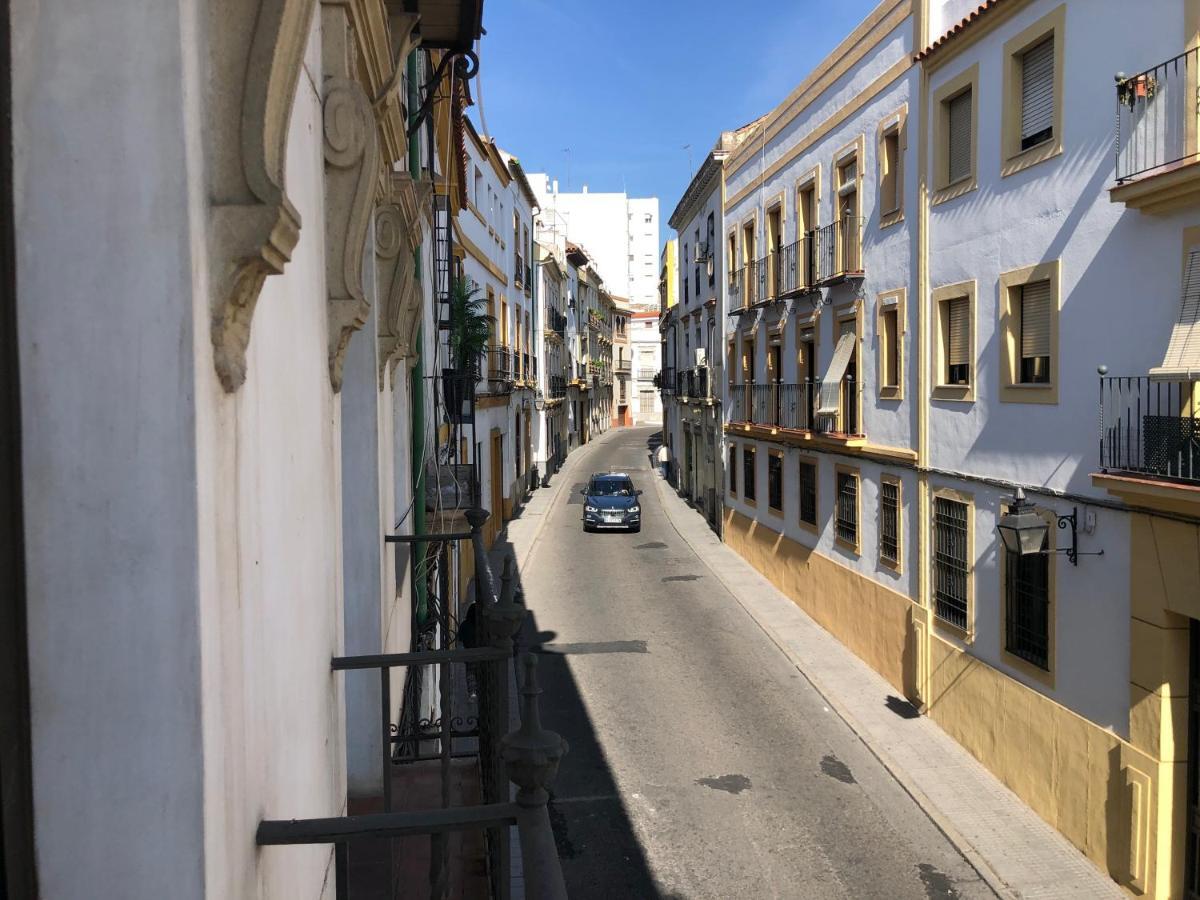 Balcones De San Fernando Apartamento