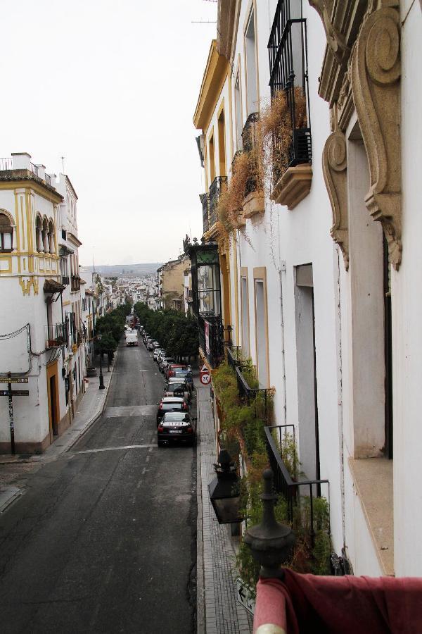 Balcones De San Fernando Apartamento