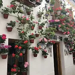 Apartamento Zoco Cordoba