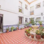 Mezquita Premium