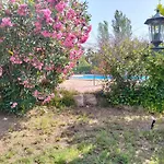 El Madrono De La Encantada