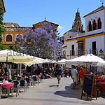 Apartamento Juderia Mezquita