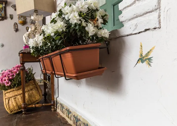 Patio Márquez