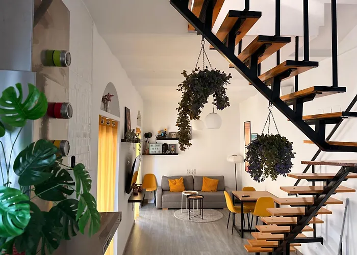 Loft Con Terraza Centro