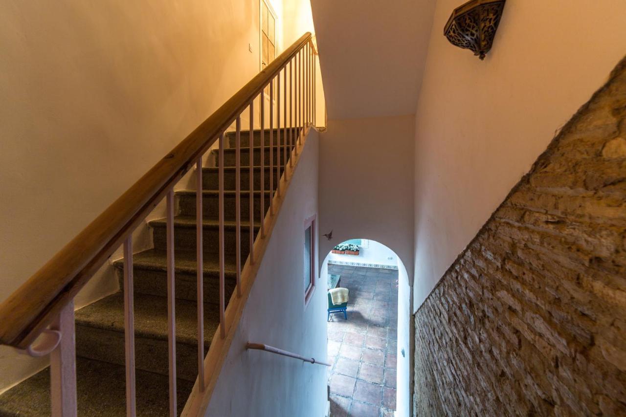 Patio Márquez *