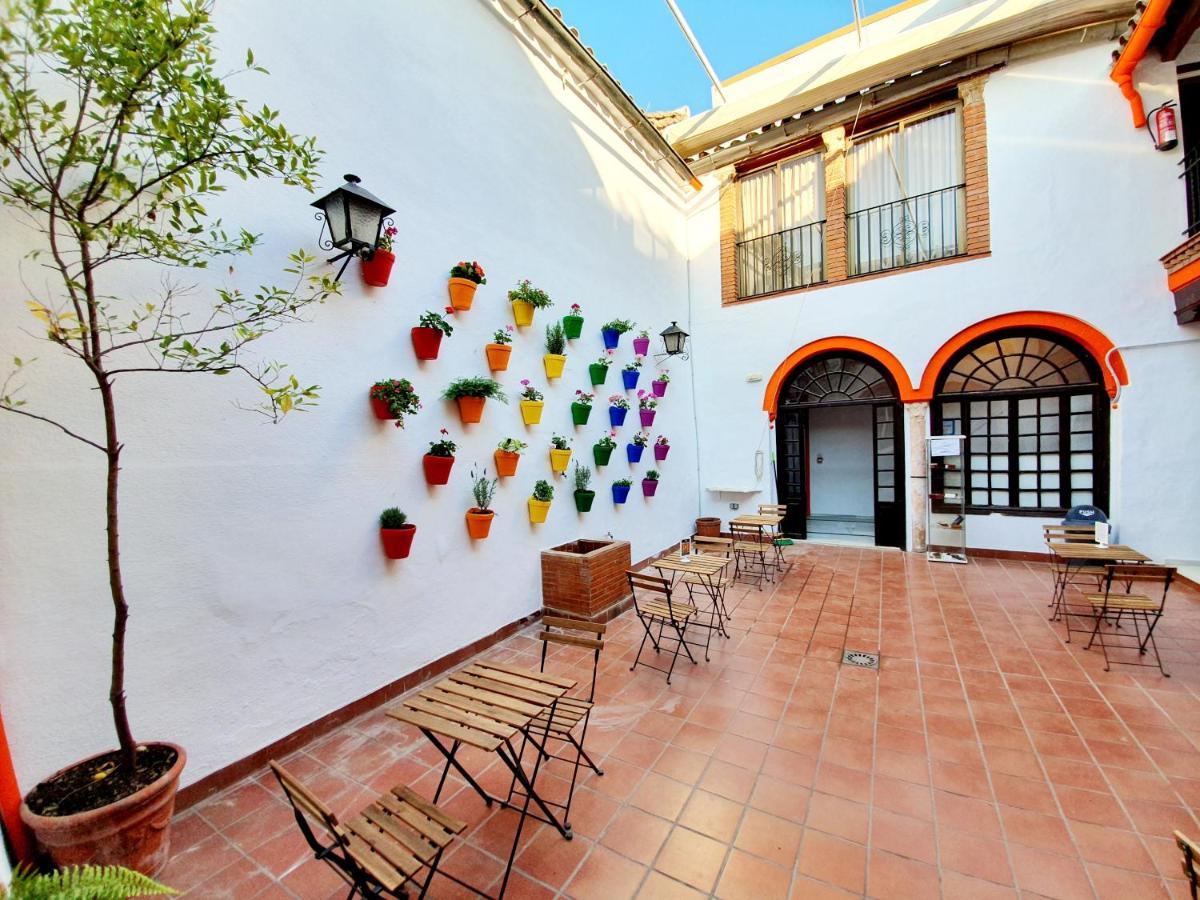 Arc House Only Adults Cordoba