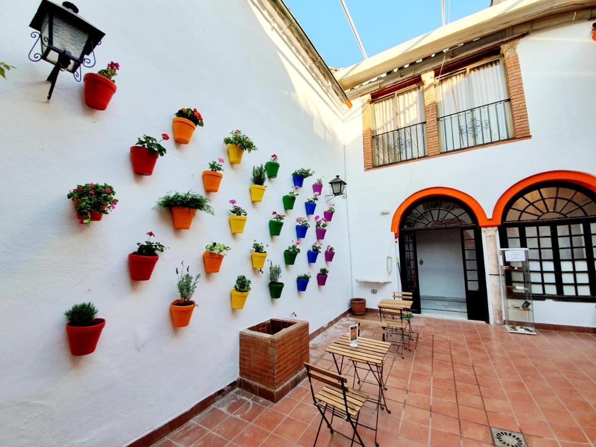 Arc House Only Adults Guest house
