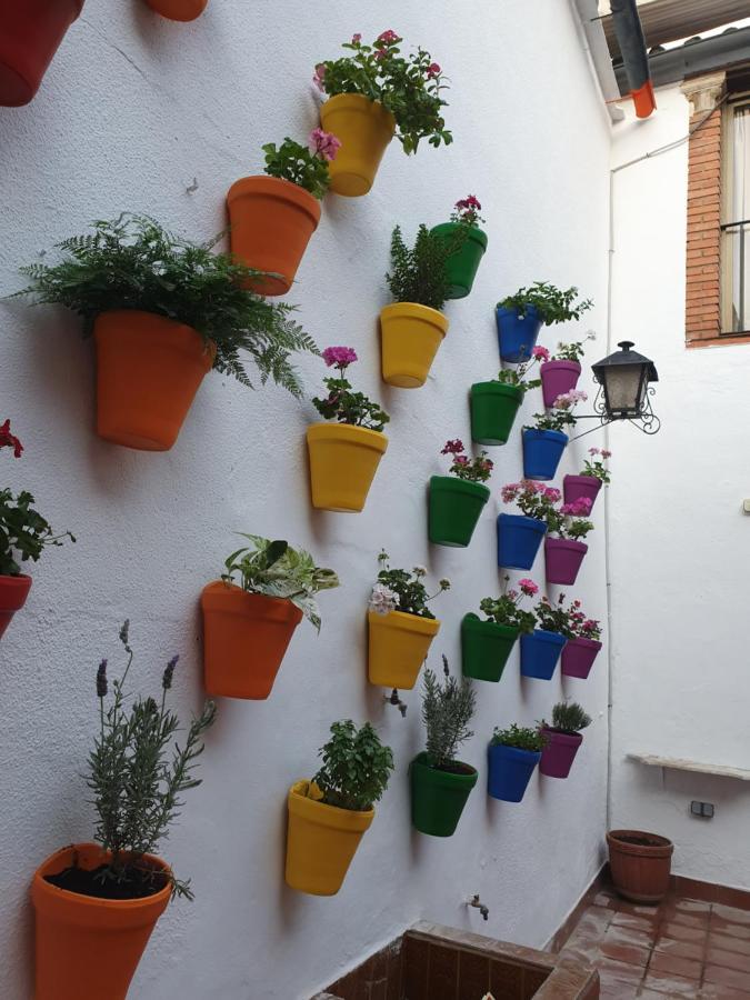 Arc House Only Adults Cordoba