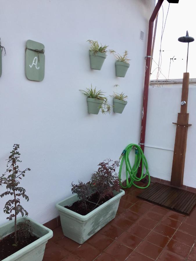Apartment Laprin