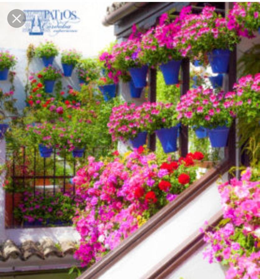 A 20 Metros De La Mezquita Catedral ,apartamentos Turistico Cespedes 5 * Córdoba