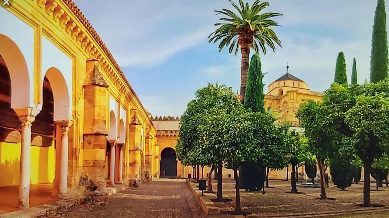 Apartamento A 20 Metros De La Mezquita Catedral ,apartamentos Turistico Cespedes 5 Córdoba
