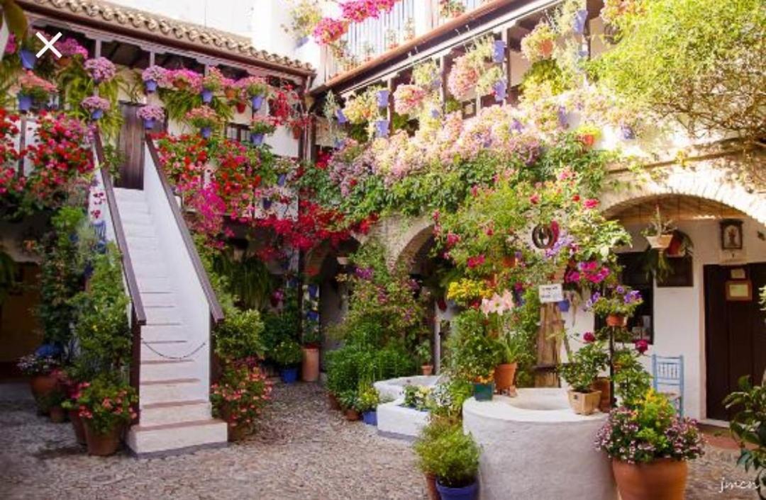 A 20 Metros De La Mezquita Catedral ,apartamentos Turistico Cespedes 5 * Córdoba