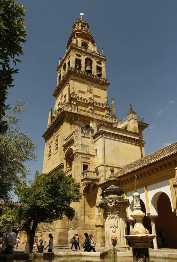 Apartamento A 20 Metros De La Mezquita Catedral ,apartamentos Turistico Cespedes 5