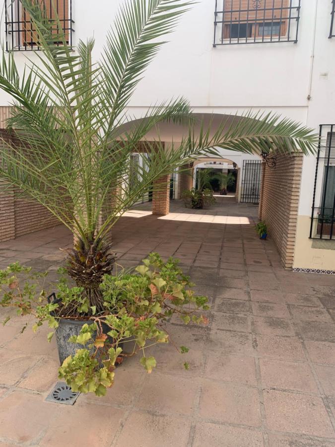 Apartamento A Estrenar A Un Minuto Del Alcázar * Córdoba