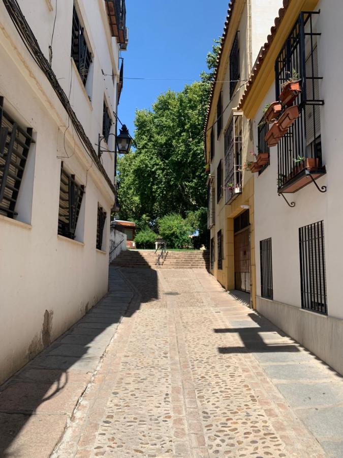Apartamento A Estrenar A Un Minuto Del Alcázar *
