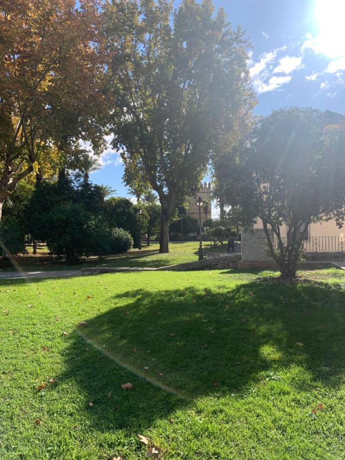 Apartamento A Estrenar A Un Minuto Del Alcázar Apartamento