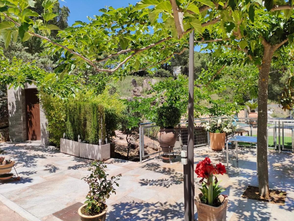 Chalet De Madera Junto Al Jaras *