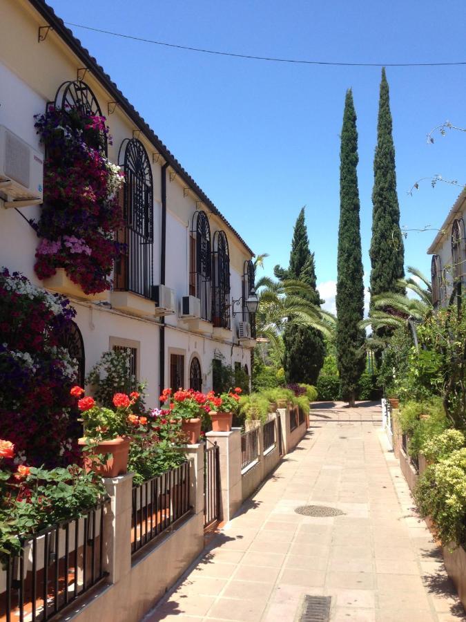 Patio De Rivas Y Palma Apartment *