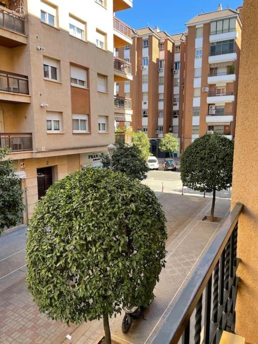 Apartment Zoco Cordoba
